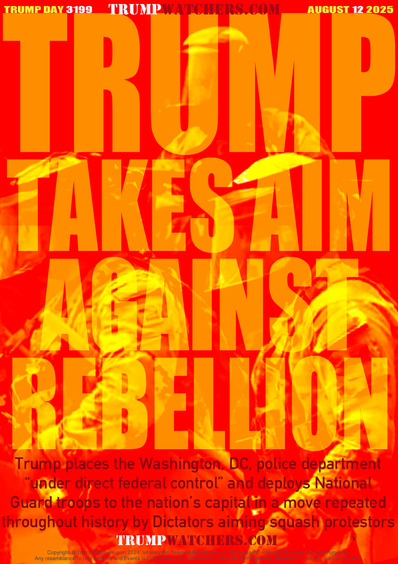 Trump places the Washington, DC, police department
“under direct federal control” and deploys National
Guard troops to the nation’s capital in a move repeated
throughout history by Dictators aiming squash protestors